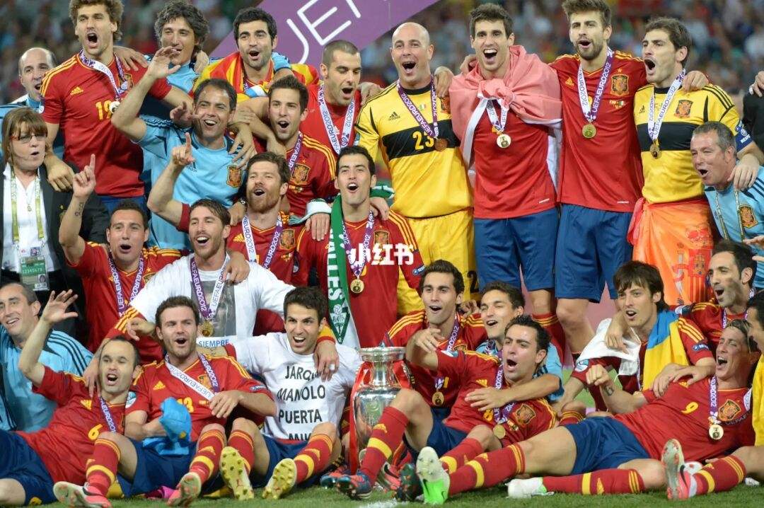 2008年欧洲杯_2008年欧洲杯冠军是谁