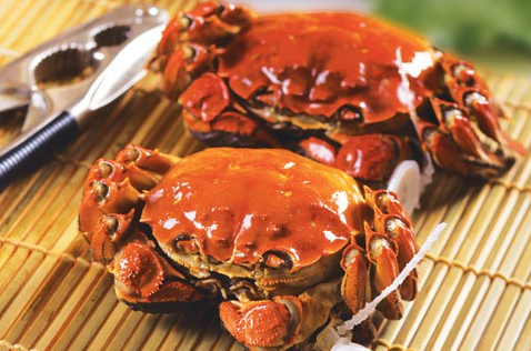 最好吃的螃蟹排行的简单介绍